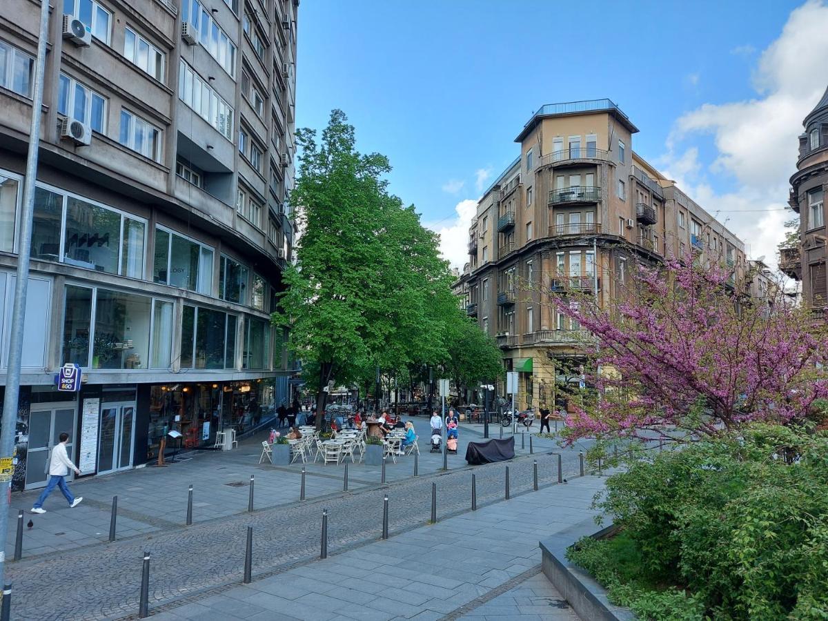 Lotta Apartment Beograd Eksteriør bilde